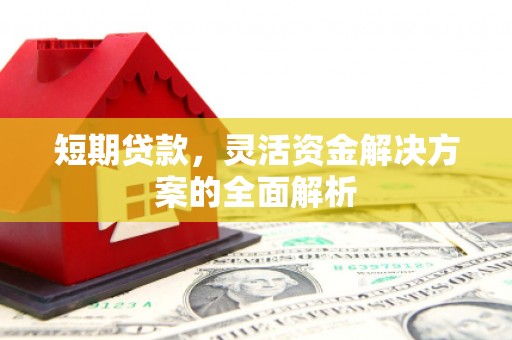大化短期贷款，灵活资金解决方案的全面解析