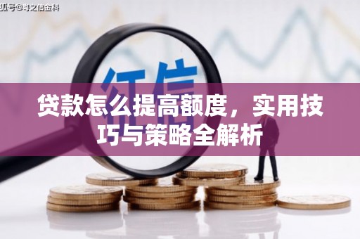 大化贷款怎么提高额度，实用技巧与策略全解析