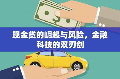 大化现金贷的崛起与风险，金融科技的双刃剑