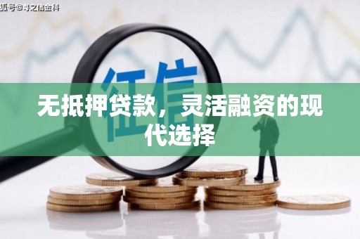 大化无抵押贷款，灵活融资的现代选择