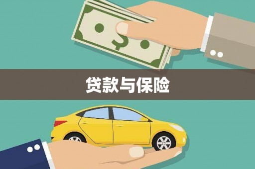 大化贷款与保险