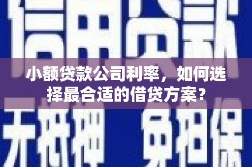 大化小额贷款公司利率，如何选择最合适的借贷方案？