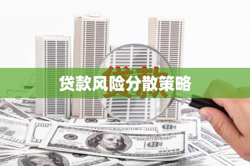 大化贷款风险分散策略