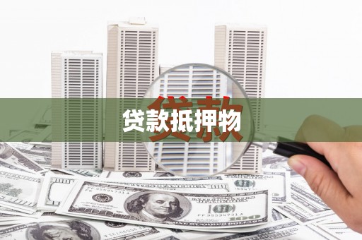大化贷款抵押物