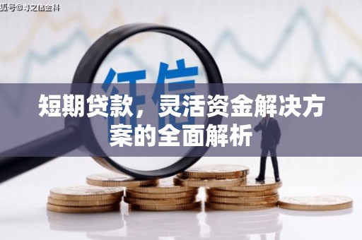 大化短期贷款，灵活资金解决方案的全面解析