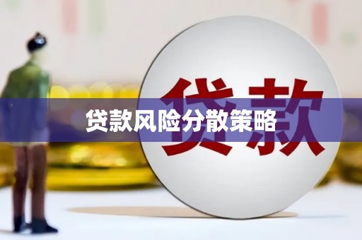大化贷款风险分散策略