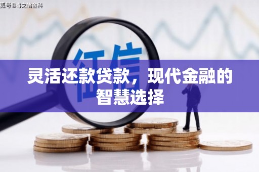 大化灵活还款贷款，现代金融的智慧选择