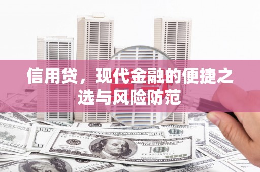 大化信用贷，现代金融的便捷之选与风险防范