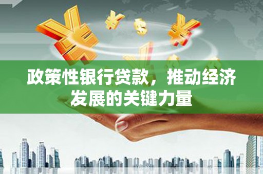 大化政策性银行贷款，推动经济发展的关键力量