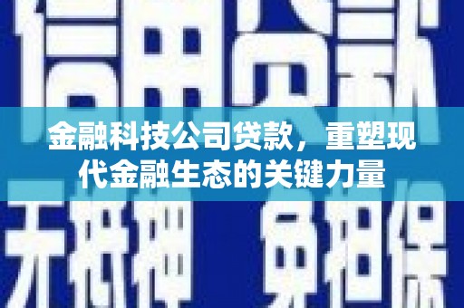 大化金融科技公司贷款，重塑现代金融生态的关键力量