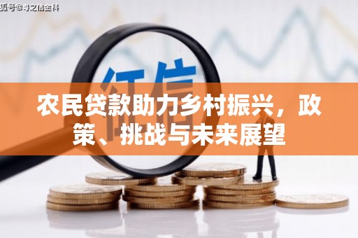 大化农民贷款助力乡村振兴，政策、挑战与未来展望