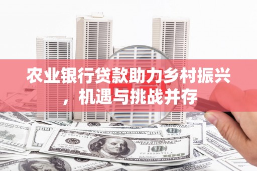 大化农业银行贷款助力乡村振兴，机遇与挑战并存