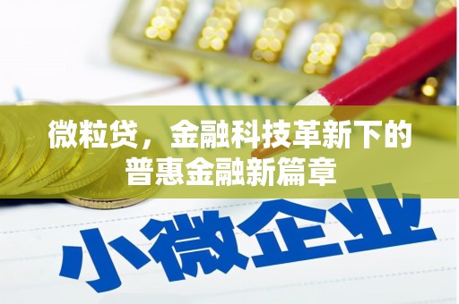 大化微粒贷，金融科技革新下的普惠金融新篇章