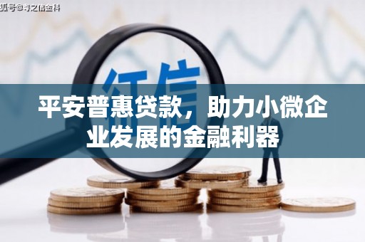 大化平安普惠贷款，助力小微企业发展的金融利器
