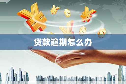 大化贷款逾期怎么办