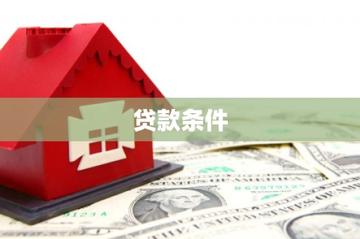 大化贷款条件