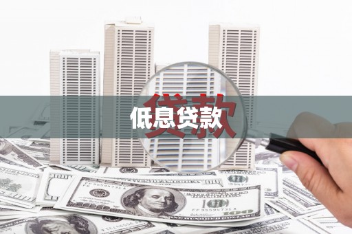 大化低息贷款