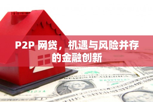 大化P2P 网贷，机遇与风险并存的金融创新