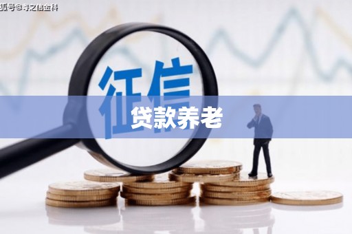 大化贷款养老