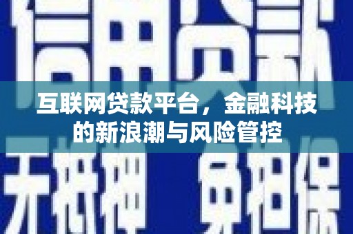 大化互联网贷款平台，金融科技的新浪潮与风险管控