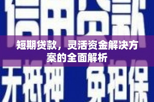 大化短期贷款，灵活资金解决方案的全面解析