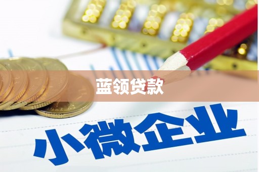 大化蓝领贷款