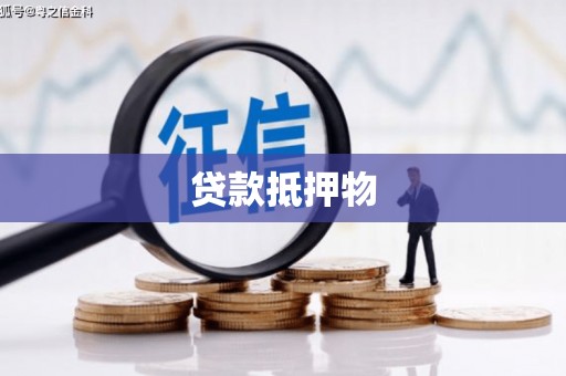 大化贷款抵押物