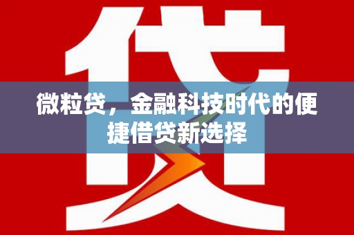 大化微粒贷，金融科技时代的便捷借贷新选择