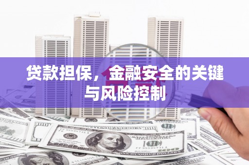 大化贷款担保，金融安全的关键与风险控制