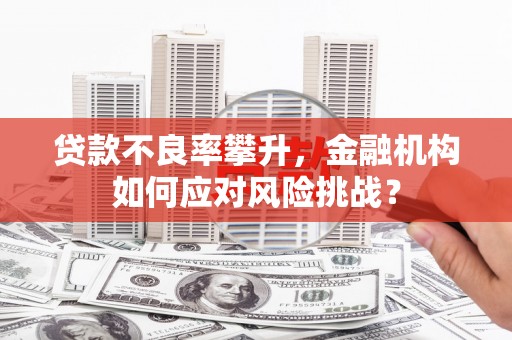 大化贷款不良率攀升，金融机构如何应对风险挑战？