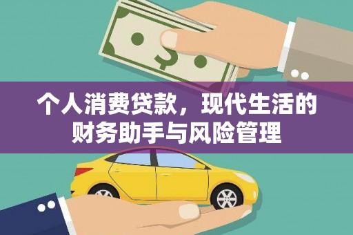 大化个人消费贷款，现代生活的财务助手与风险管理