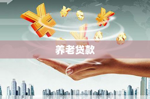 大化养老贷款