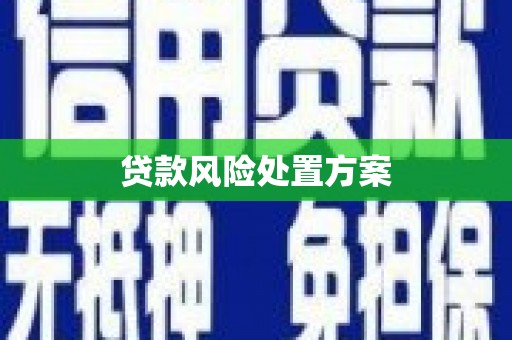 大化贷款风险处置方案