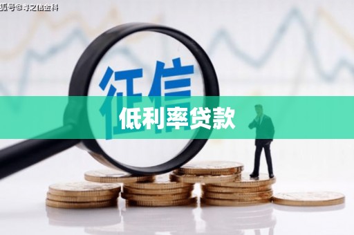 大化低利率贷款
