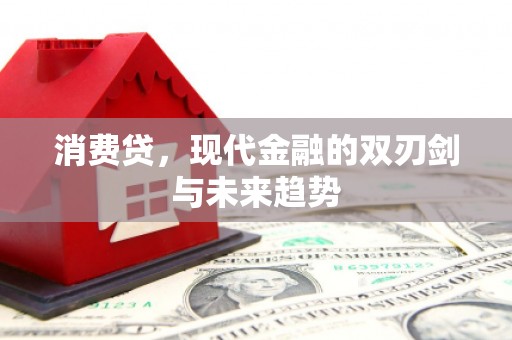 大化消费贷，现代金融的双刃剑与未来趋势