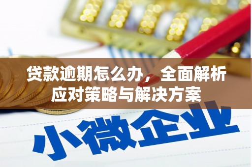 大化贷款逾期怎么办，全面解析应对策略与解决方案