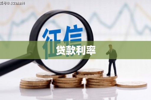 大化贷款利率