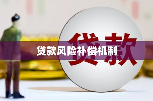 大化贷款风险补偿机制