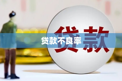 大化贷款不良率