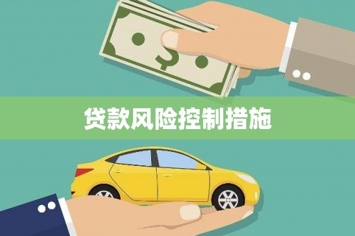 大化贷款风险控制措施