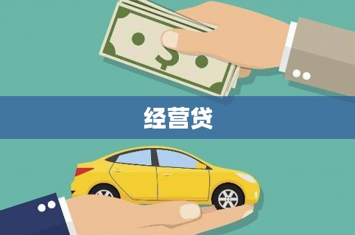 大化经营贷