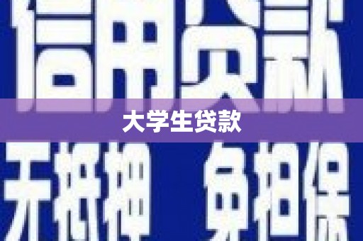 大化大学生贷款