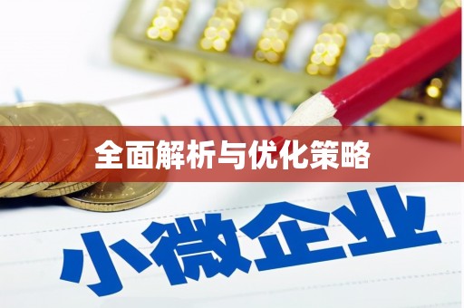大化全面解析与优化策略