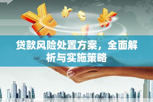 大化贷款风险处置方案，全面解析与实施策略