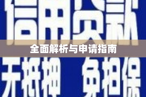 大化全面解析与申请指南