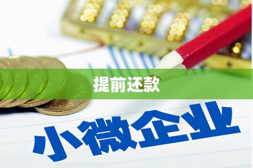 大化提前还款