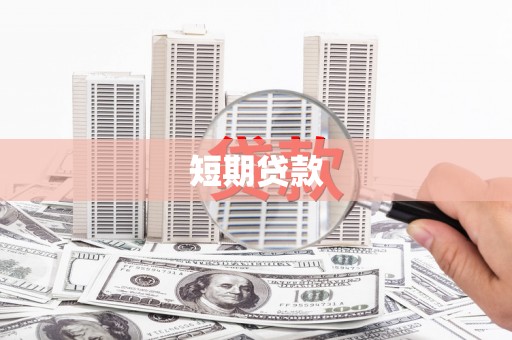 大化短期贷款